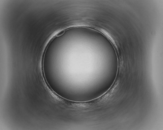 X0000110321197200905211520