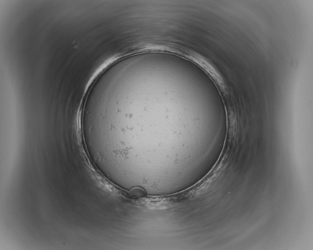 X0000110321198200905211520