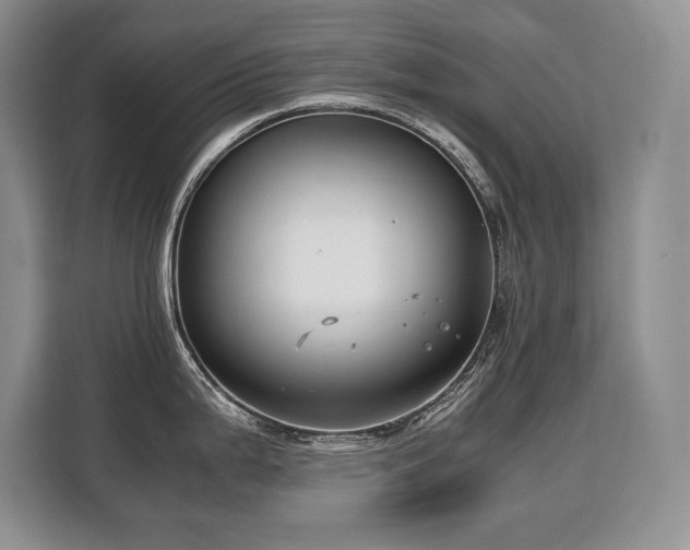 X0000110321199200905211520