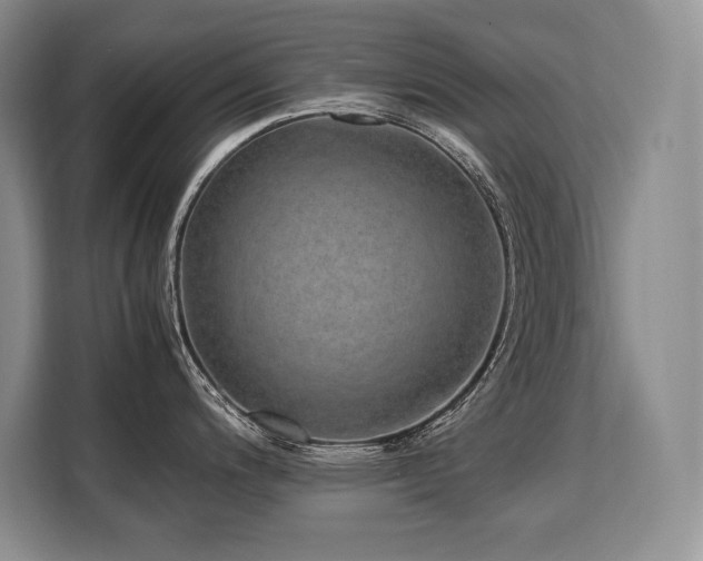 X0000110321200200905211520