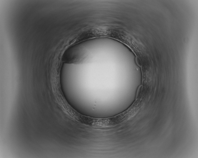 X0000110321201200905211519