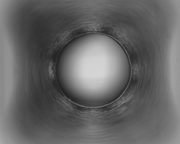X0000110321202200905211519