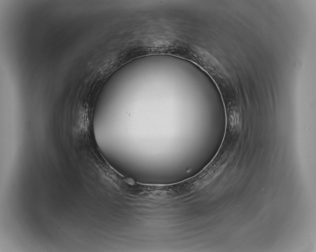X0000110321204200905211519