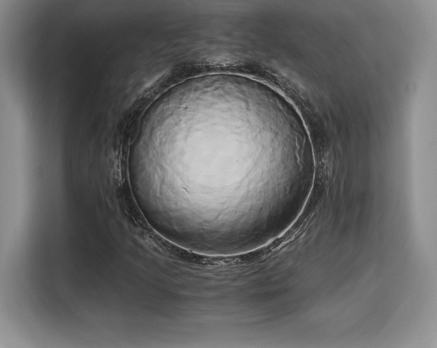 X0000110321205200905211519