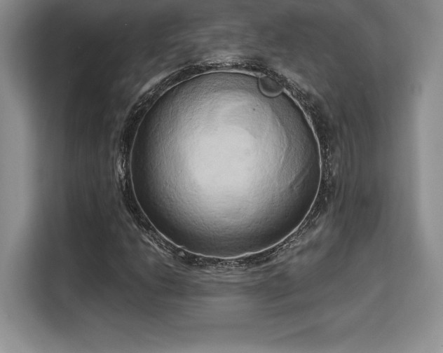 X0000110321206200905211519
