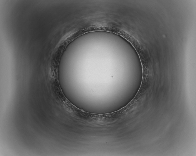 X0000110321207200905211519