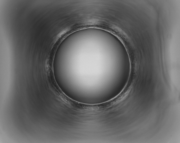 X0000110321210200905211519