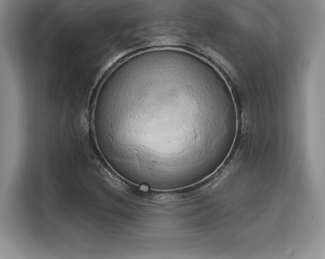 X0000110321212200905211519