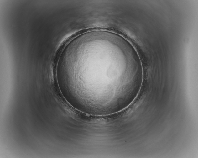 X0000110321214200905211519