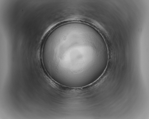 X0000110321216200905211519