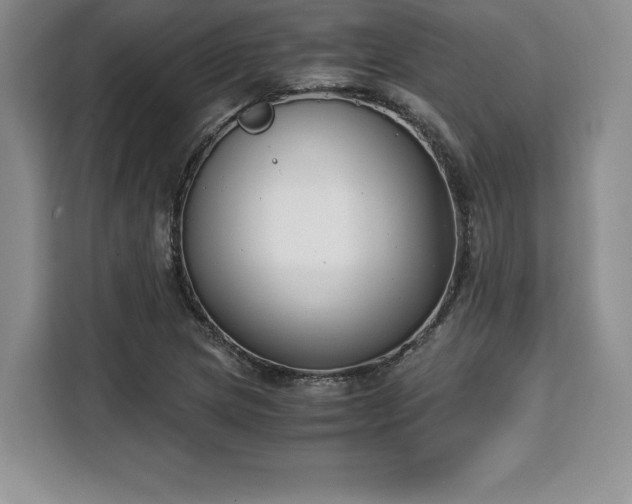 X0000110321217200905211519