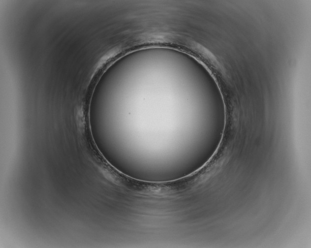 X0000110321218200905211519