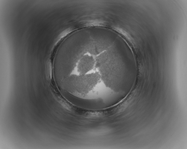 X0000110321219200905211519