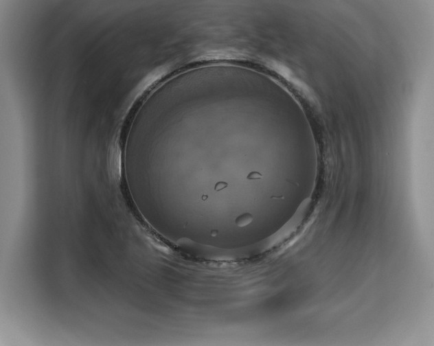 X0000110321221200905211519