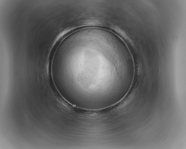 X0000110321222200905211519