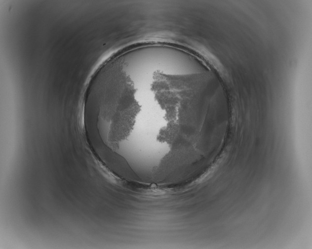 X0000110321224200905211519
