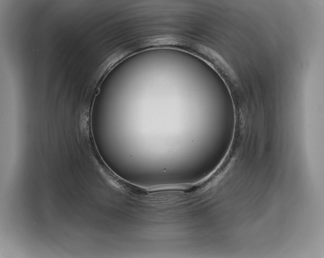 X0000110321225200905211519