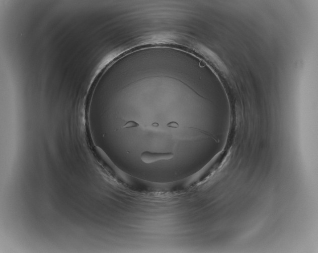 X0000110321226200905211519