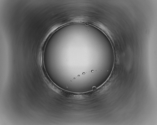 X0000110321227200905211519