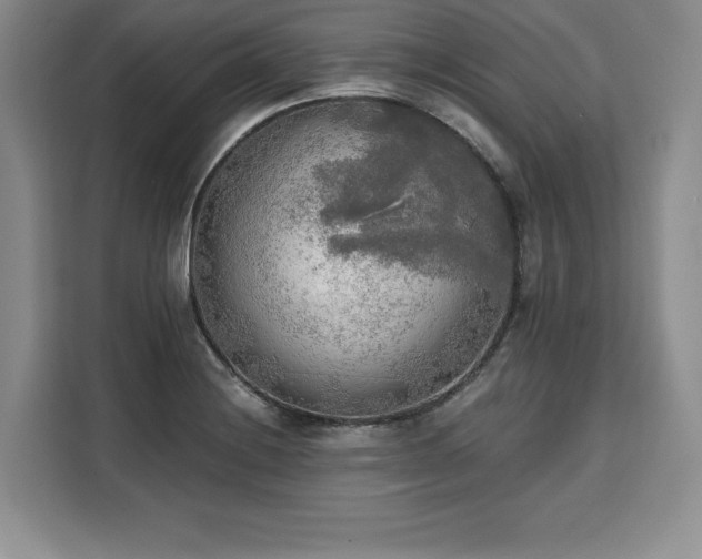 X0000110321228200905211519