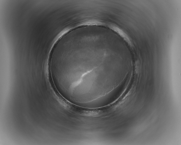 X0000110321229200905211519