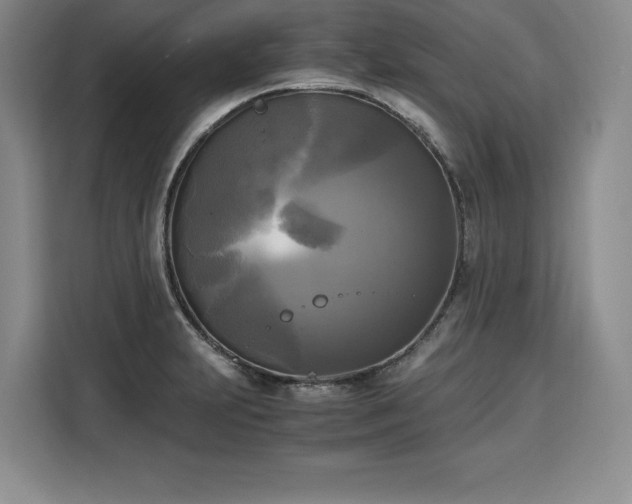 X0000110321231200905211519