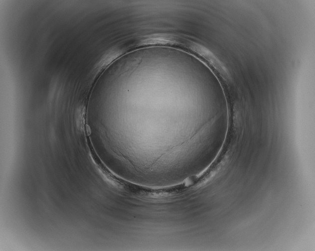 X0000110321233200905211519