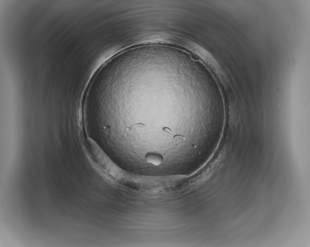 X0000110321234200905211519