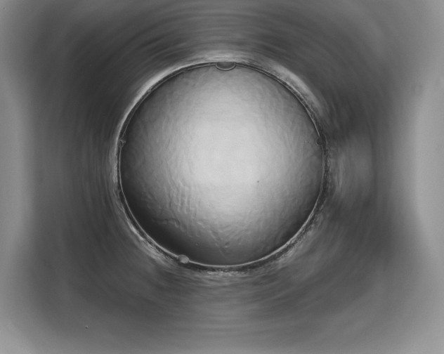 X0000110321236200905211520