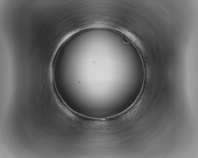 X0000110321238200905211520