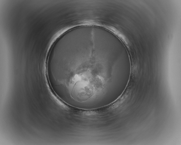X0000110321239200905211520