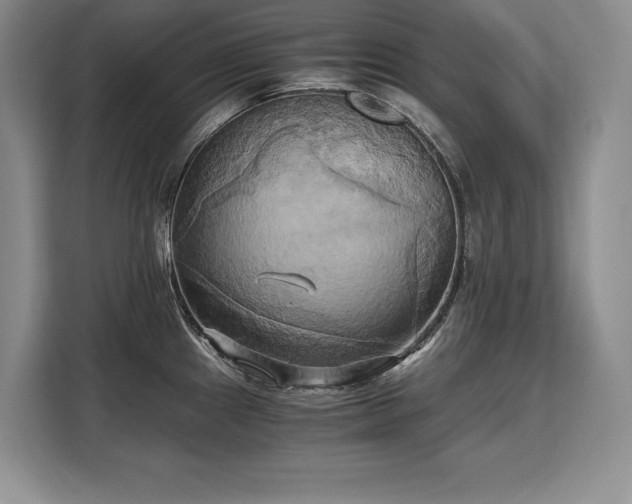 X0000110321241200905211520