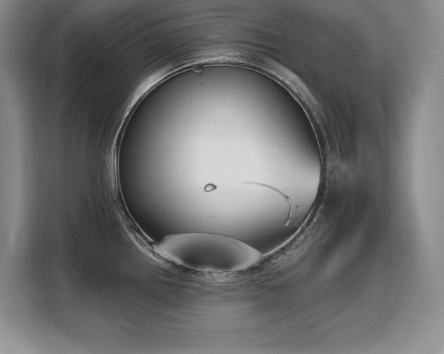X0000110321242200905211520