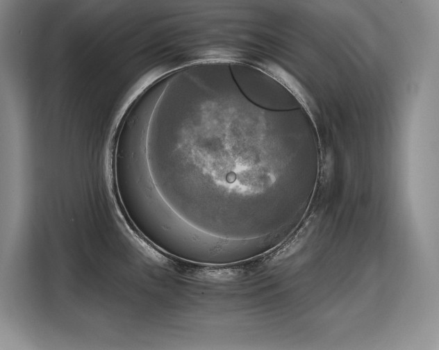 X0000110321243200905211520