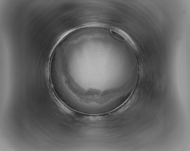 X0000110321244200905211520
