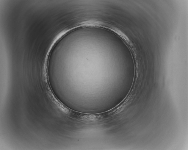 X0000110321248200905211520