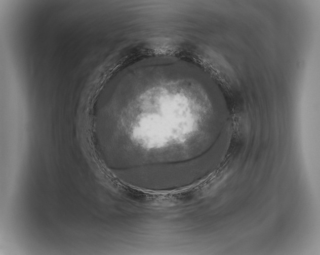 X0000110321249200905211519