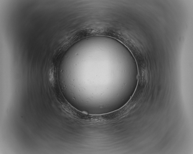 X0000110321250200905211519