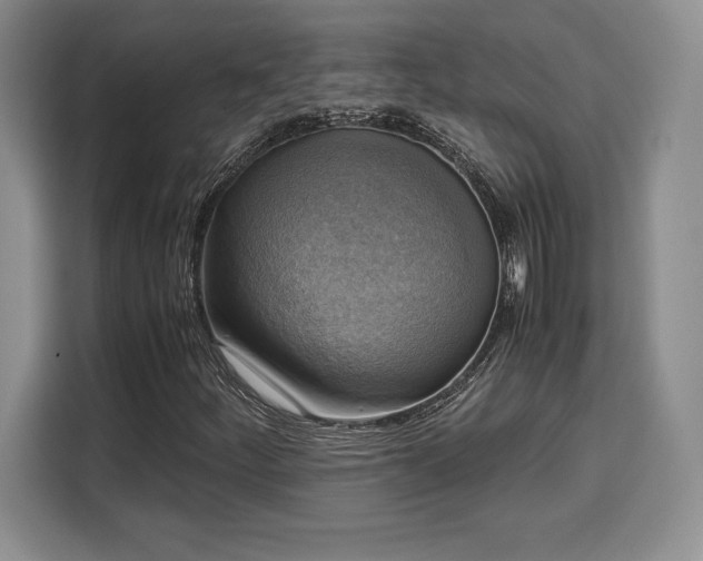 X0000110321252200905211519