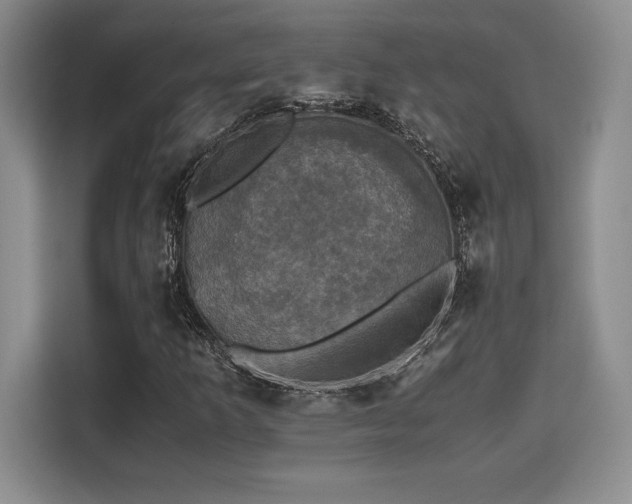 X0000110321253200905211519