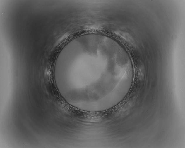 X0000110321254200905211519