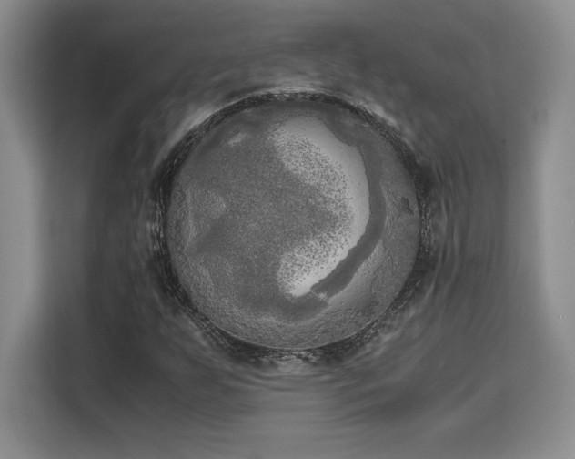X0000110321255200905211519