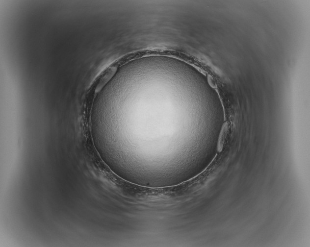 X0000110321256200905211519