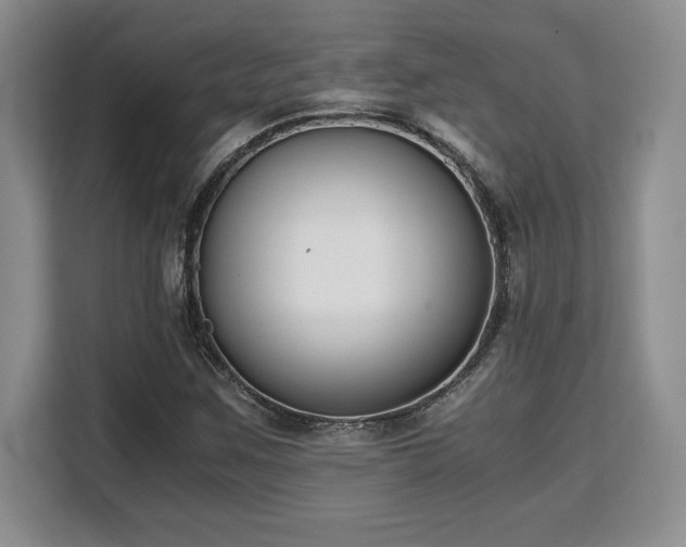 X0000110321259200905211519