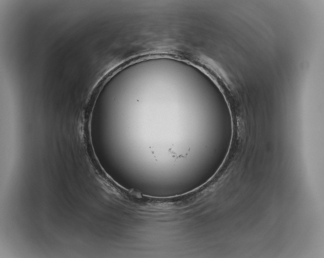 X0000110321260200905211519