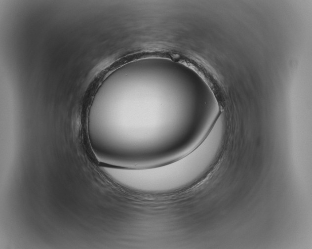 X0000110321261200905211519