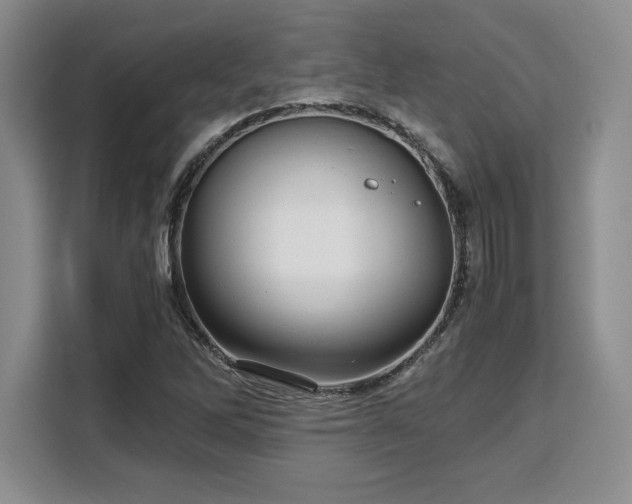 X0000110321262200905211519