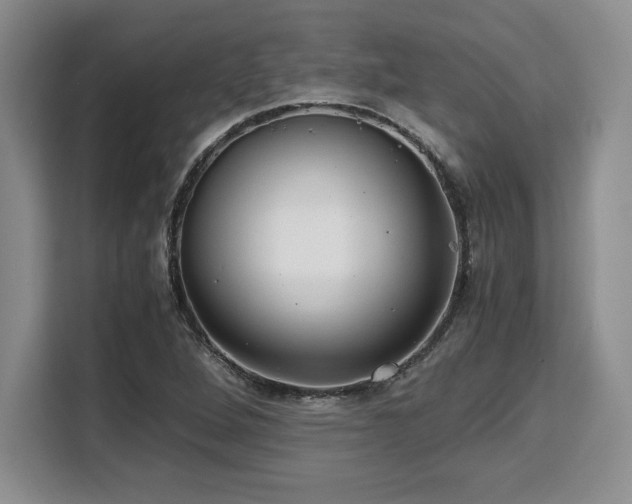 X0000110321264200905211519