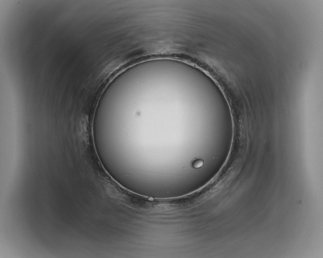 X0000110321265200905211519
