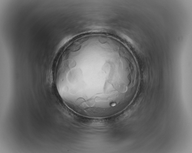 X0000110321267200905211519